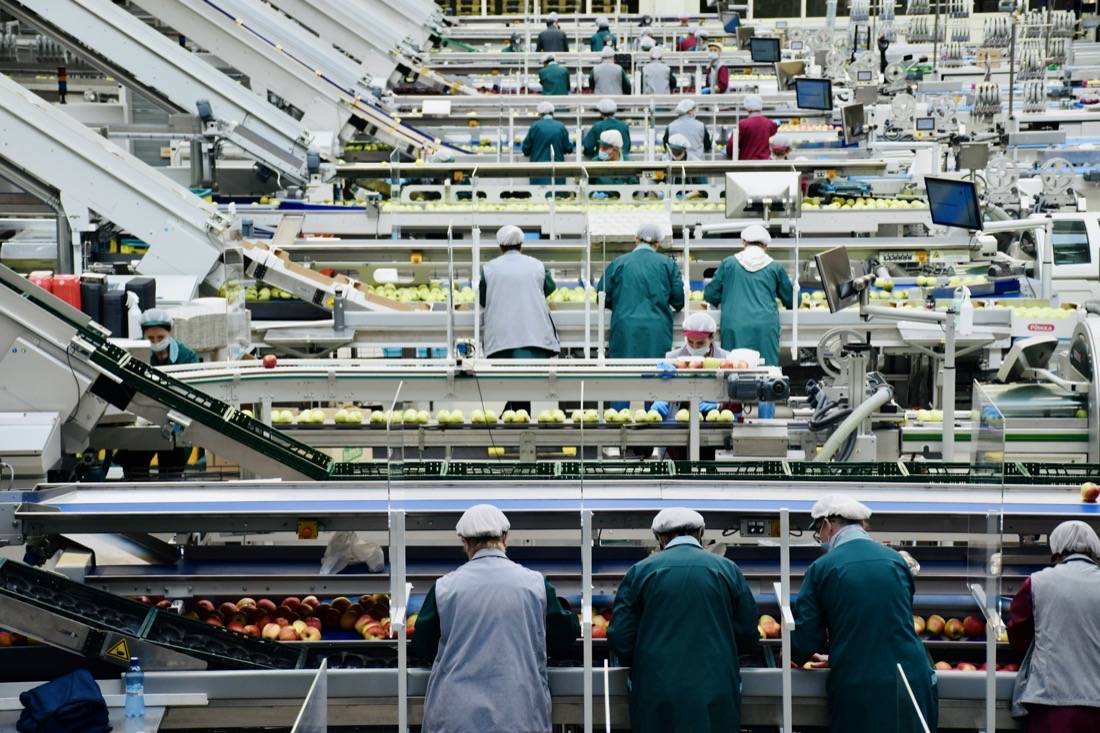Workers on a food packing line